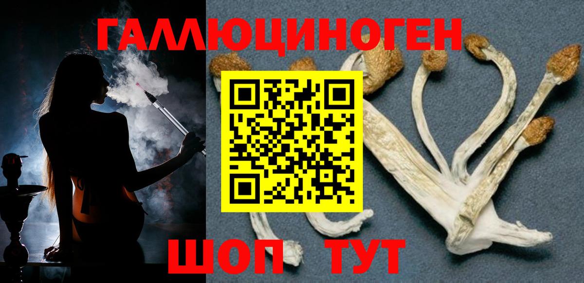 Галлюциногенные грибы Psilocybine cubensis  Вход с VPN  Бузулук 