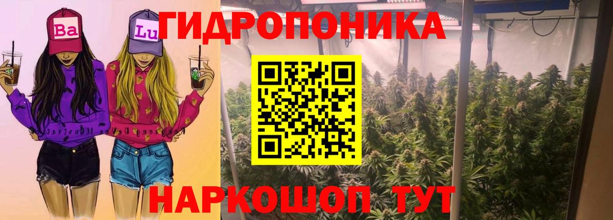 Каннабис семена Бузулук